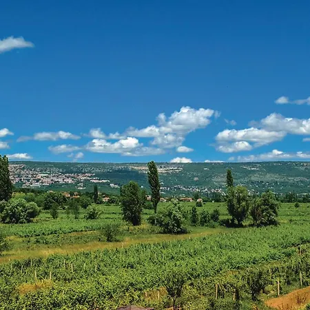 4 Bedroom Amazing In Glavina Donja Donja Glavina